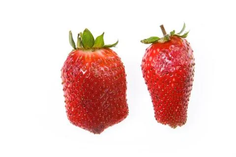 Strawberry Stock Photos