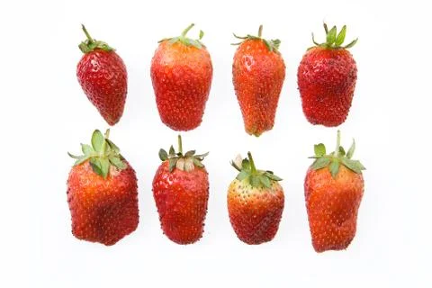 Strawberry Stock Photos