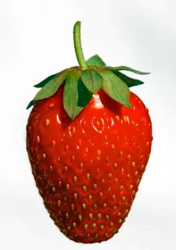 Strawberry Stock Photos