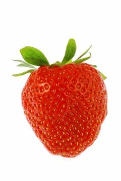 Strawberry Foto stock
