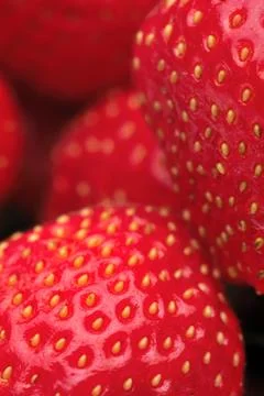Strawberry Stock Photos