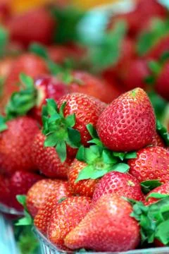 Strawberry Stock Photos