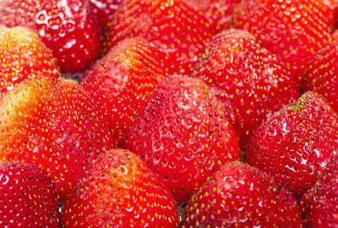 Strawberry Stock Photos