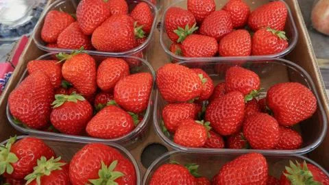 Strawberry Stock Photos