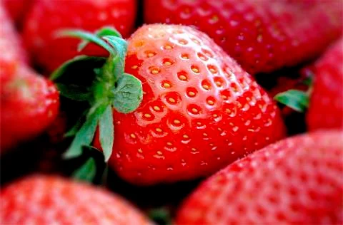 The strawberry Stock Photos