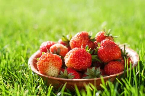 Strawberry Stock Photos