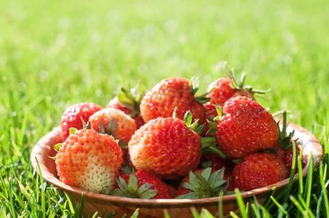 Strawberry Stock Photos