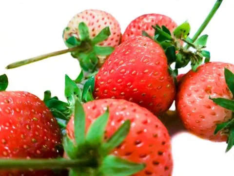 Strawberry Stock-Fotos