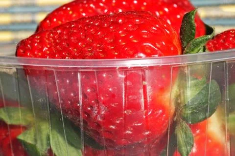 Strawberry Stock Photos