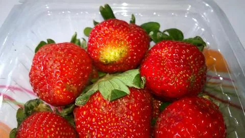 Strawberry Stock Photos