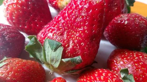 Strawberry Stock Photos