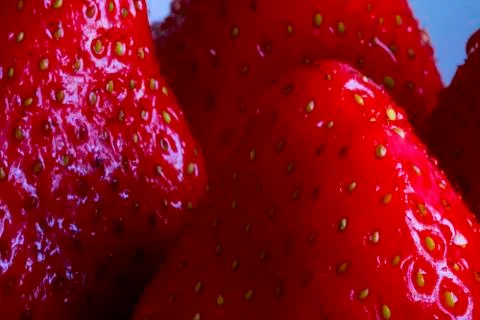 Strawberry  Stock Photos