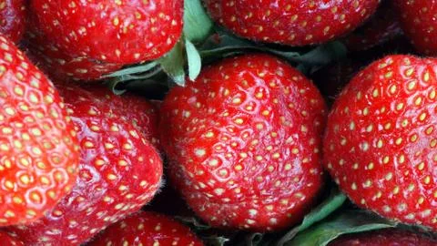 Strawberry Stock Photos