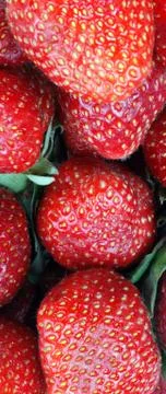 Strawberry Foto stock