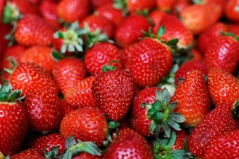 Strawberry. Foto stock