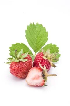 Strawberry Foto stock