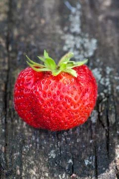 Strawberry Foto stock