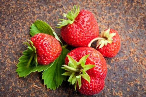 Strawberry Stock-Fotos
