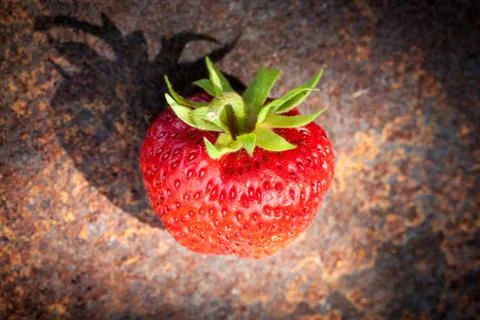 Strawberry Foto stock