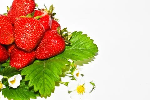 Strawberry Foto stock