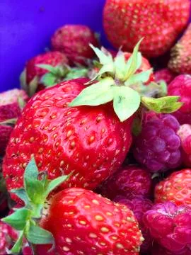 Strawberry Stock Photos