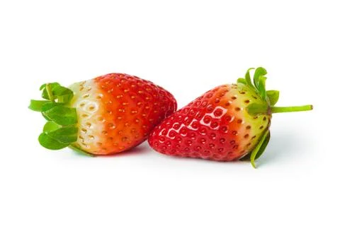 Strawberry Stock Photos