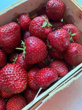 Strawberry Stock Photos