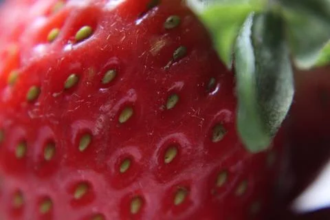 Strawberry Stock Photos