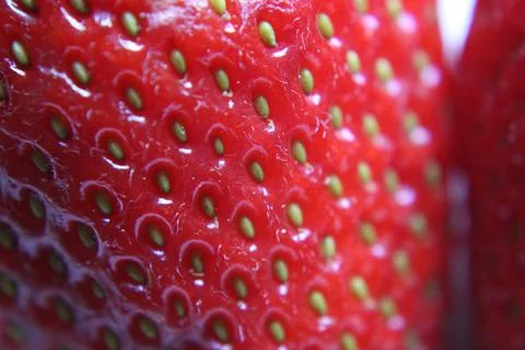 Strawberry Stock Photos