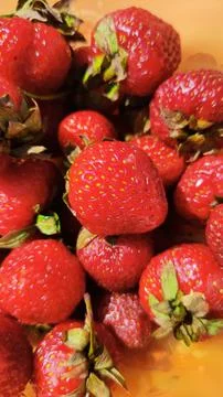 Strawberry 写真素材