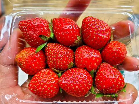 Strawberry Stock Photos