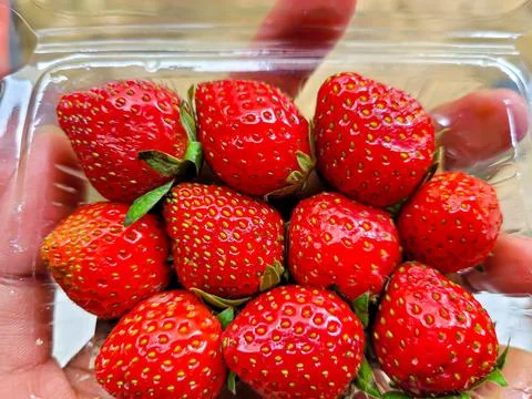 Strawberry Stock Photos