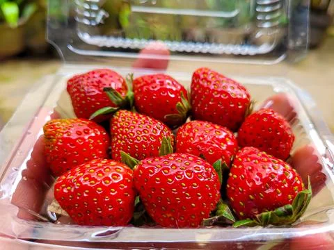 Strawberry Stock Photos