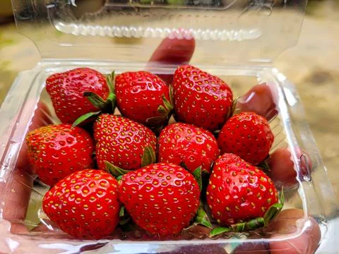 Strawberry Stock Photos