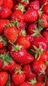 Strawberry Stock Photos