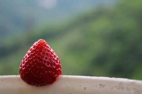 Strawberry Stock Photos