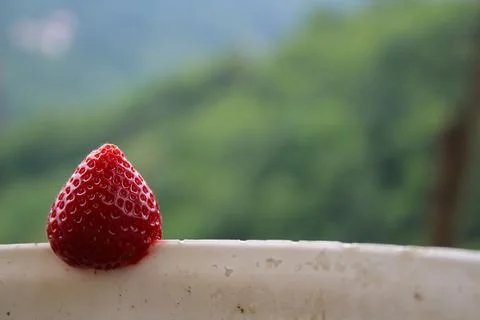 Strawberry Stock Photos