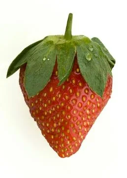 Strawberry Stock Photos