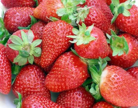 Strawberry Stock Photos