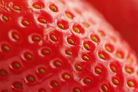 Strawberry Foto stock