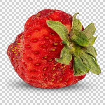 Strawberry. Stock Photos