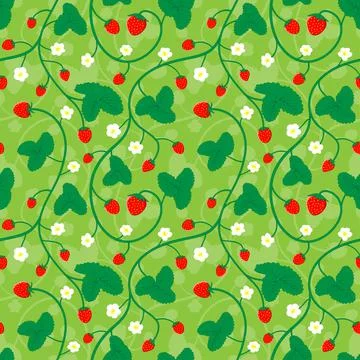 Strawberry plant seamless pattern nature fruit background Stock Illustration