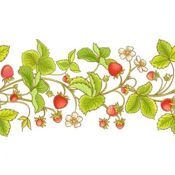 Strawberry plant vector pattern Stock Illustration