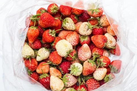 Strawberry in a plastic bag Stock Photos