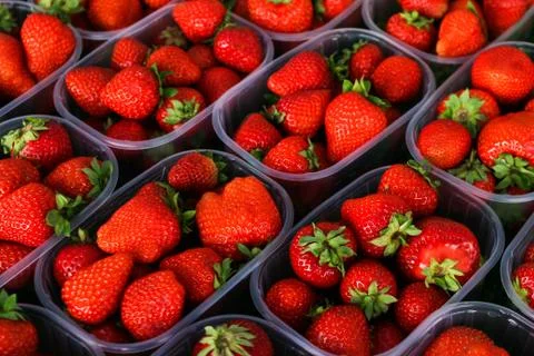 Strawberry in plastic containers Stock Photos