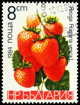 Strawberry on postage stamp Stock-Fotos