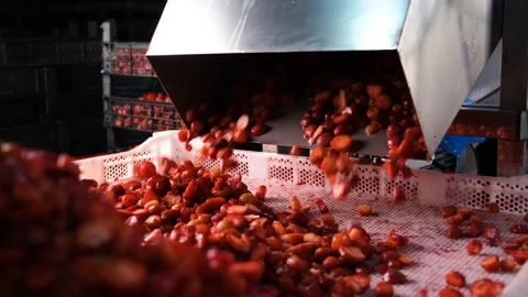 Strawberry processing plant Stock-Footage 191152944