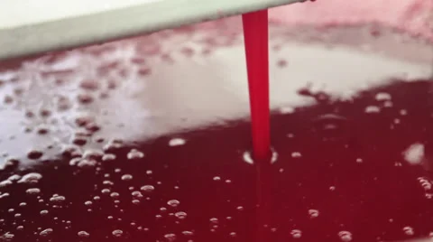 Strawberry Production Line Video stock 37240739