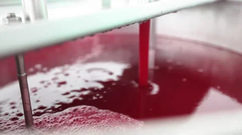 Strawberry Production Line : Material Processing Video stock 37240591