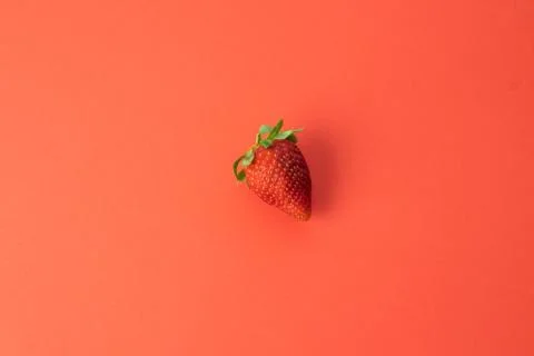 Strawberry on red background Stock Photos
